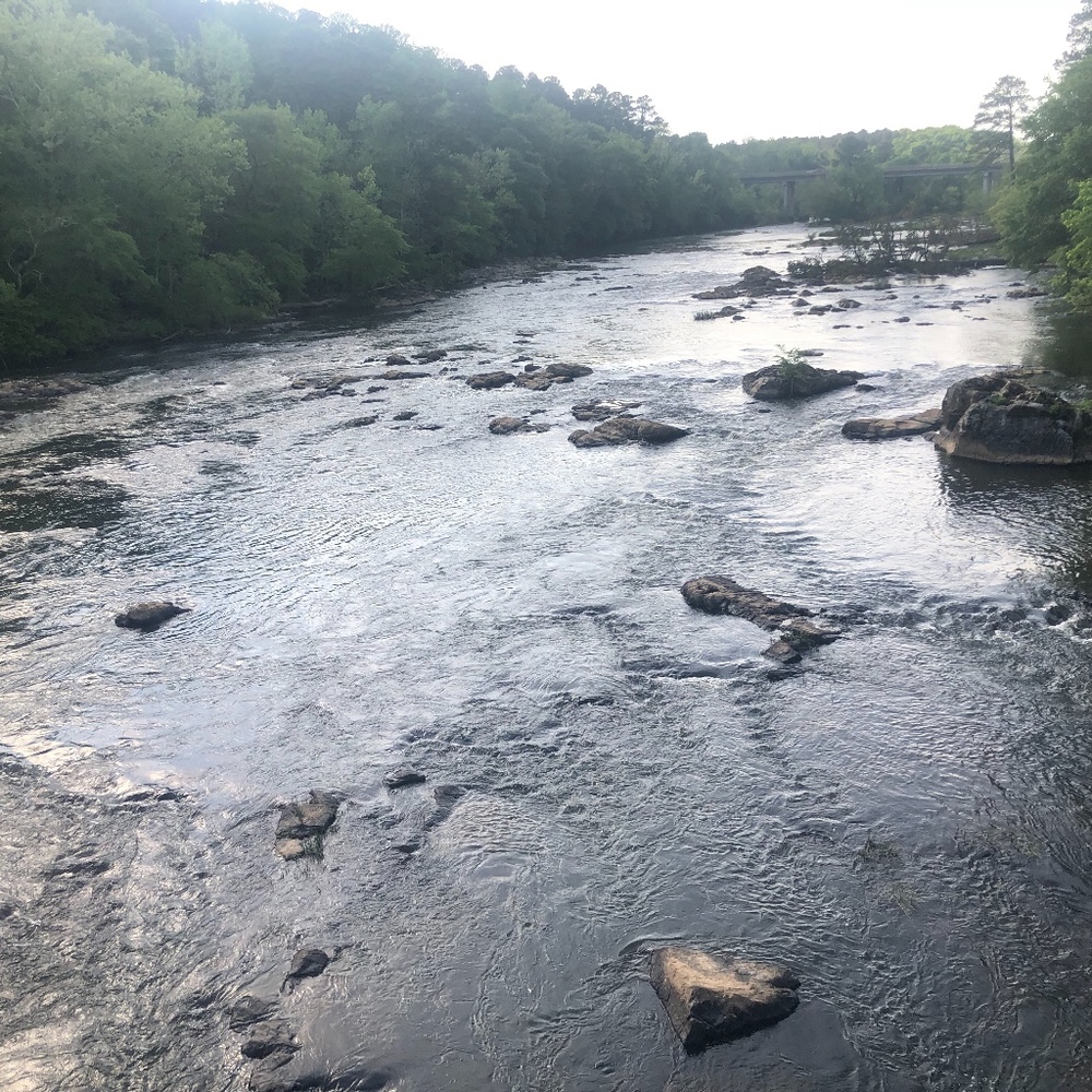 Meet your Posher, Holly